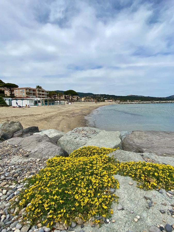 Studio 150 M De Plage Golfe De Saint-Tropez Cavalaire-sur-Mer Ngoại thất bức ảnh